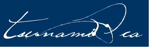 Tsunami Communications