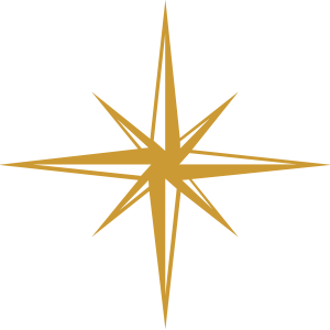 Tsunami Business Analysis Solutions